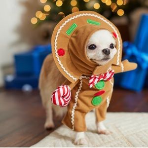 NWOT Gingerbread Costume for small dog or cat